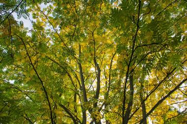 Things to Do in Eugene, Oregon: Mount Pisgah Arboretum