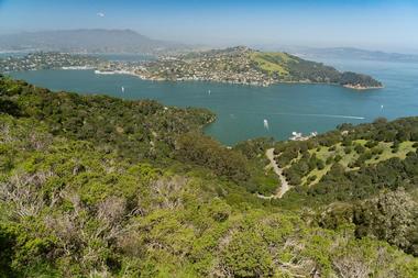 Things to Do in Tiburon, California: Mt. Livermore
