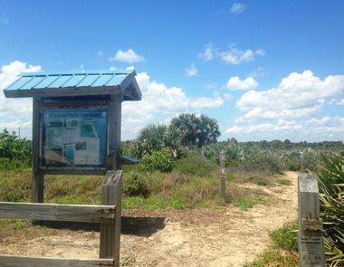 Things to Do in Vero Beach: Archie Carr National Wildlife Refuge