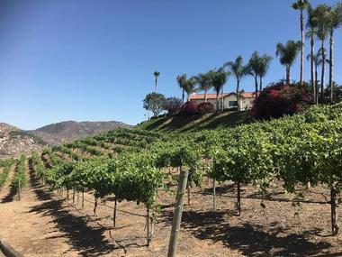 Estate d'Iacobelli Winery, Fallbrook, California