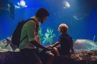 Florida Keys Aquarium Encounters, Marathon, Florida