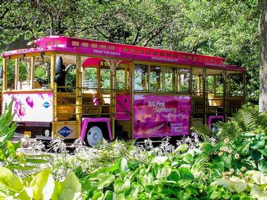 Gray Line Portland - Pink Trolley Sightseeing
