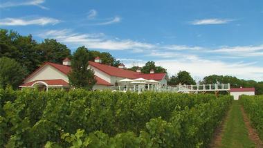 Things to Do in Traverse City: Brys Estate Vineyard & Winery